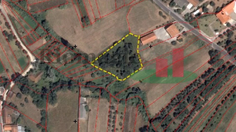 Terreno para Venda em Alcobertas