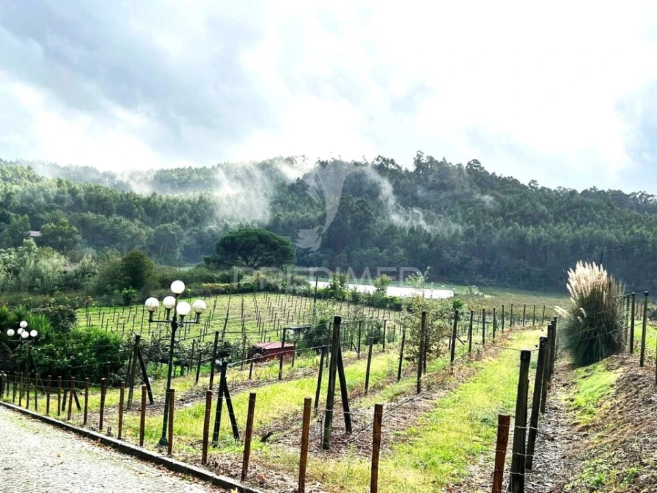 Quinta T4 para Venda em Sande Vila Nova e Sande São Clemente Foto 20