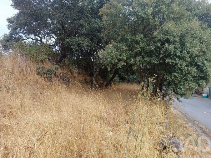 Moradia T4 para Venda em Azinhoso Foto 26