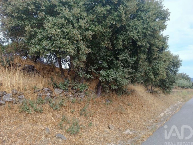 Moradia T4 para Venda em Azinhoso Foto 25