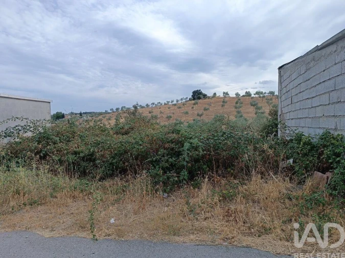 Moradia T4 para Venda em Azinhoso Foto 24