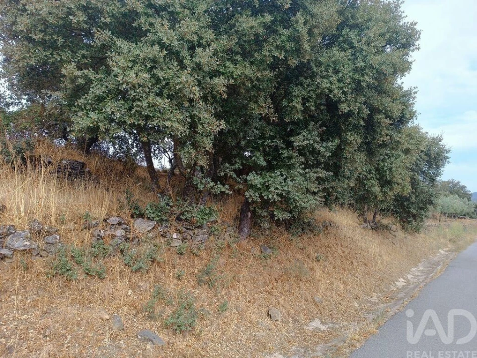 Moradia T4 para Venda em Azinhoso Foto 25