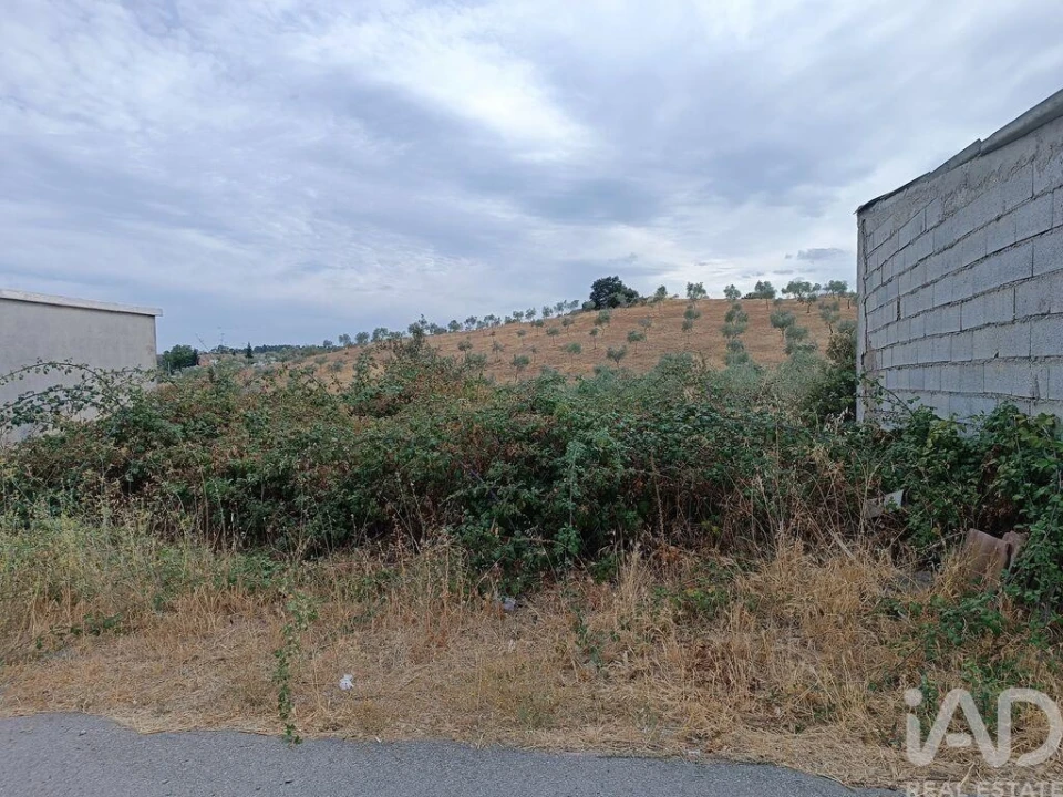 Moradia T4 para Venda em Azinhoso Foto 24