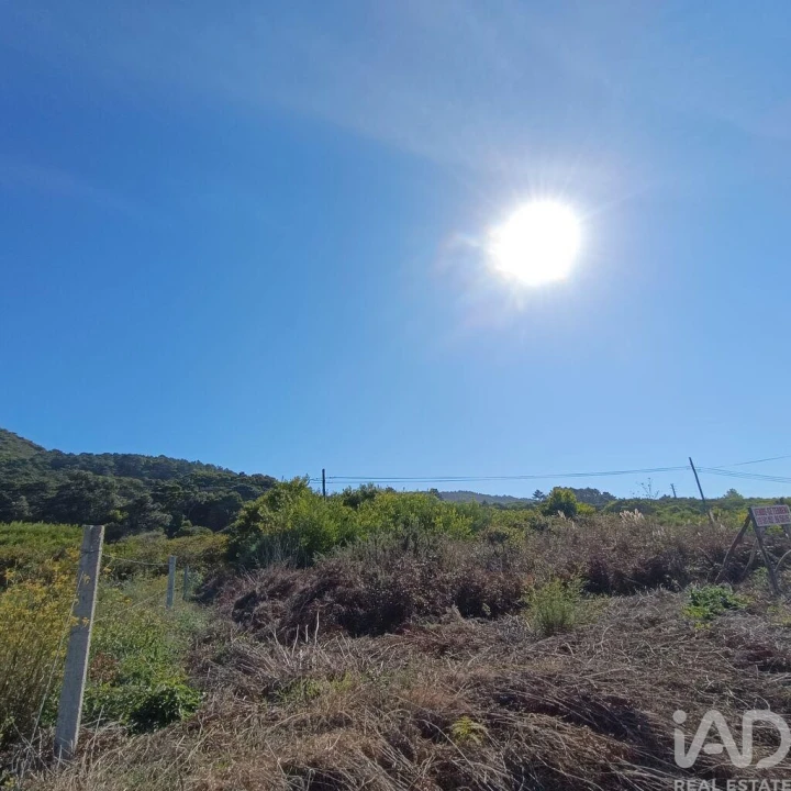 Terreno para Venda em Moledo e Cristelo Foto 10