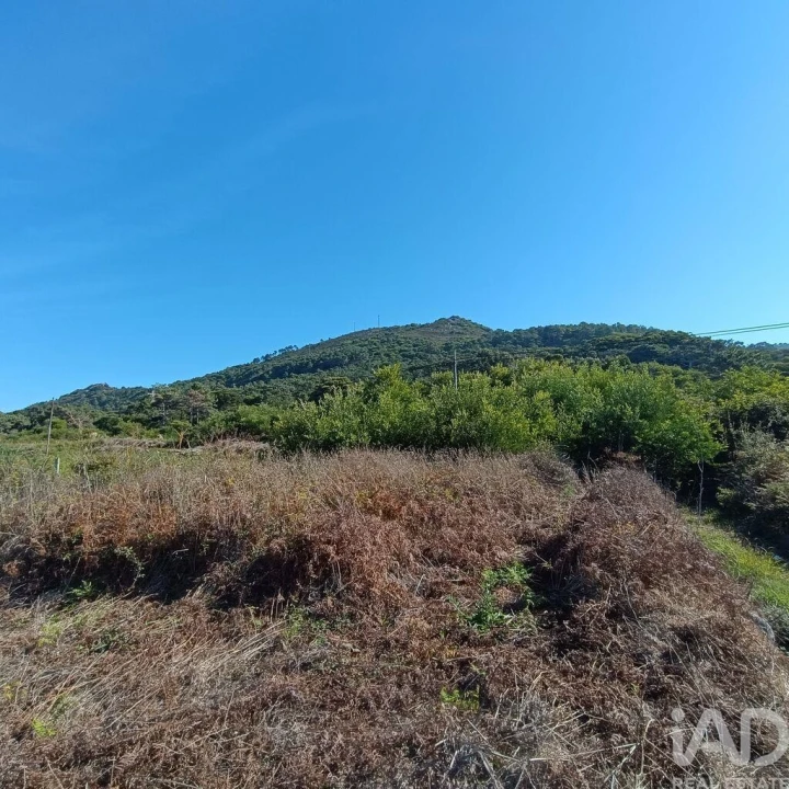 Terreno para Venda em Moledo e Cristelo Foto 6