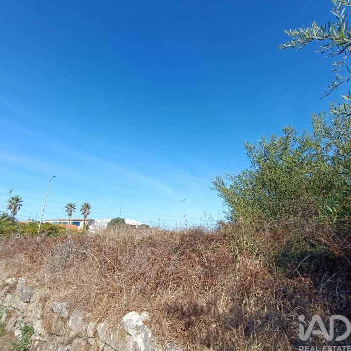 Terreno para Venda em Moledo e Cristelo Foto 13