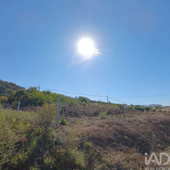 Terreno para Venda em Moledo e Cristelo Foto 3
