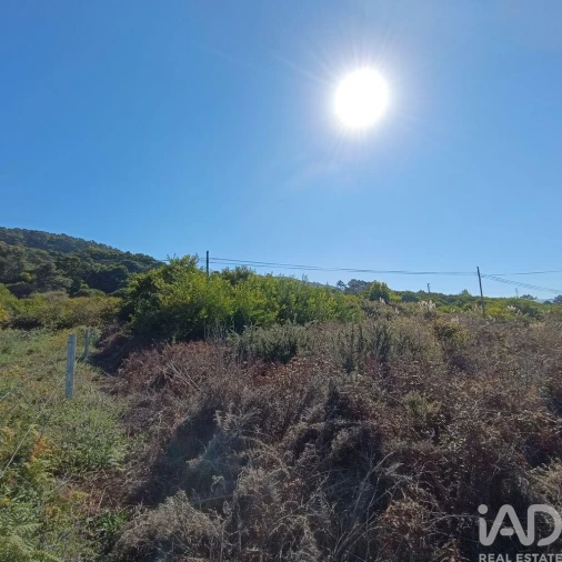 Terreno para Venda em Moledo e Cristelo Foto 8