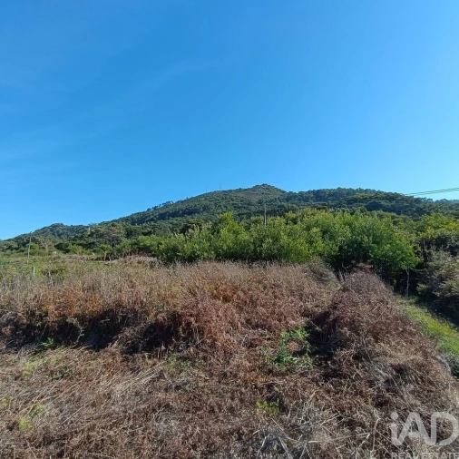 Terreno para Venda em Moledo e Cristelo Foto 6