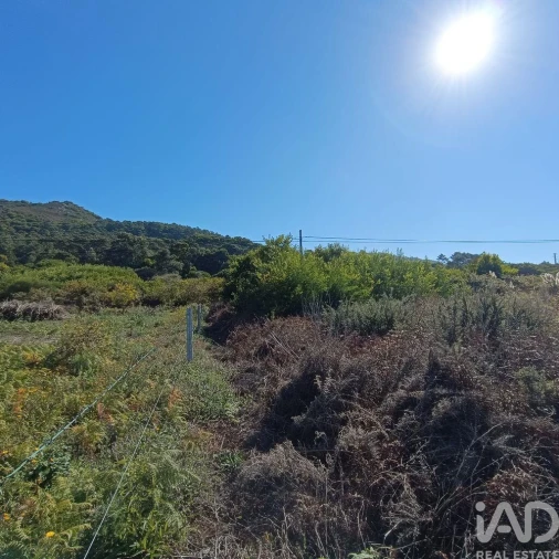 Terreno para Venda em Moledo e Cristelo Foto 7