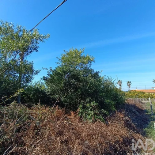Terreno para Venda em Moledo e Cristelo Foto 9