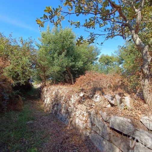 Terreno para Venda em Moledo e Cristelo Foto 12