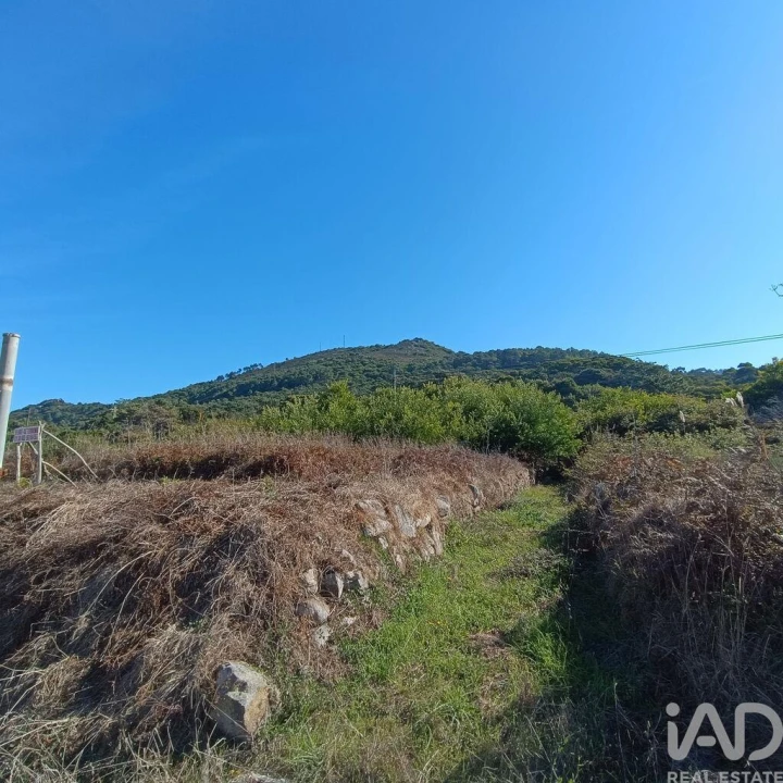 Terreno para Venda em Moledo e Cristelo Foto 5