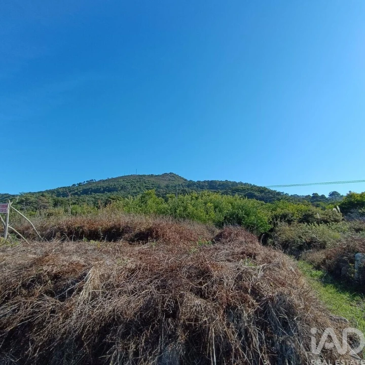 Terreno para Venda em Moledo e Cristelo Foto 4