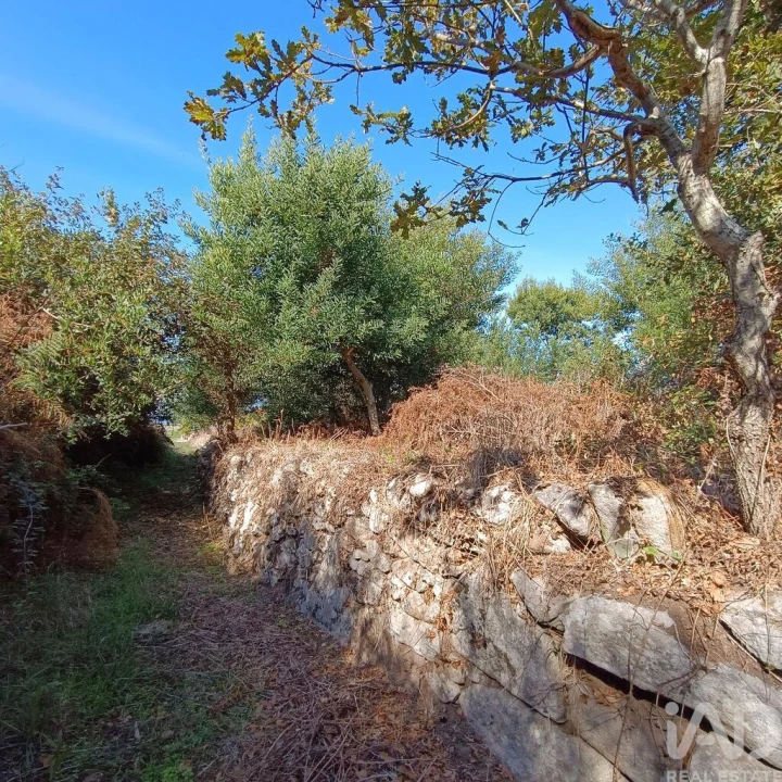 Terreno para Venda em Moledo e Cristelo Foto 12