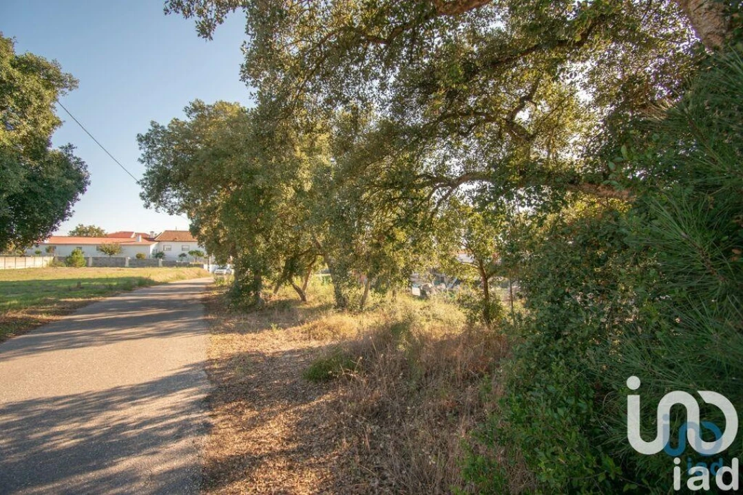 Terreno para Venda em Amor Foto 5