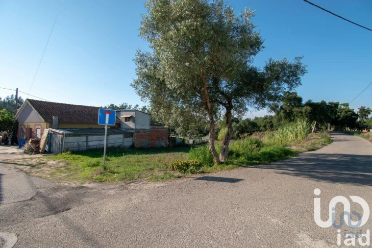 Terreno para Venda em Amor Foto 2