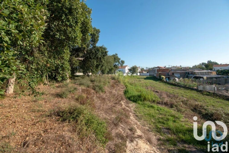 Terreno para Venda em Amor Foto 4