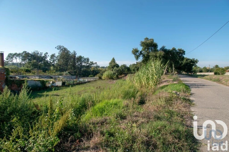 Terreno para Venda em Amor Foto 3