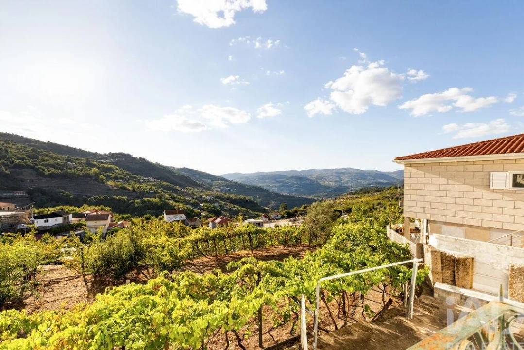 Quinta T8 para Venda em São Martinho de Mouros Foto 33