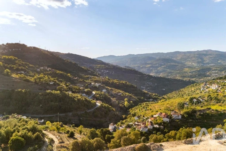 Quinta T8 para Venda em São Martinho de Mouros Foto 39