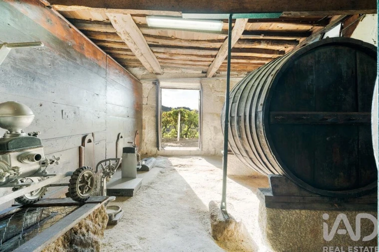 Quinta T8 para Venda em São Martinho de Mouros Foto 30
