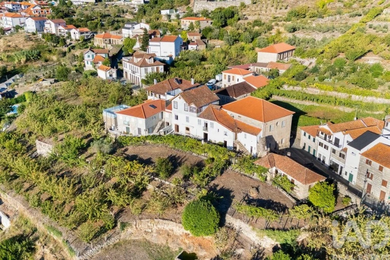 Quinta T8 para Venda em São Martinho de Mouros Foto 38
