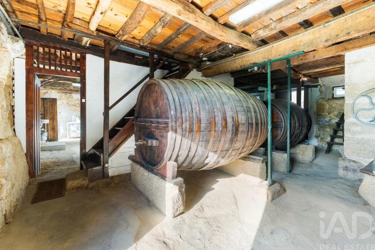 Quinta T8 para Venda em São Martinho de Mouros Foto 27