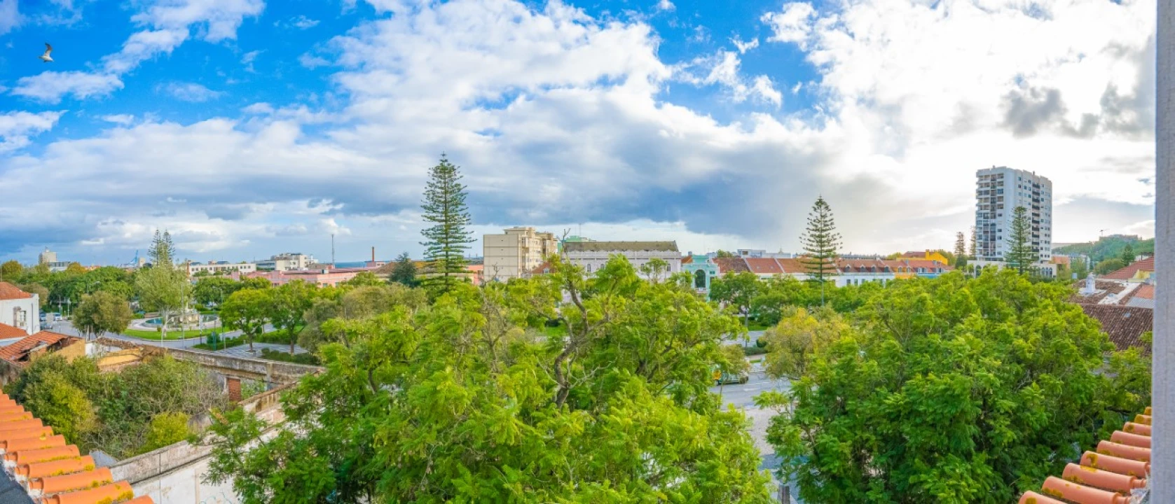 Negócio para Venda em União das Freguesias de Setúbal Foto 97