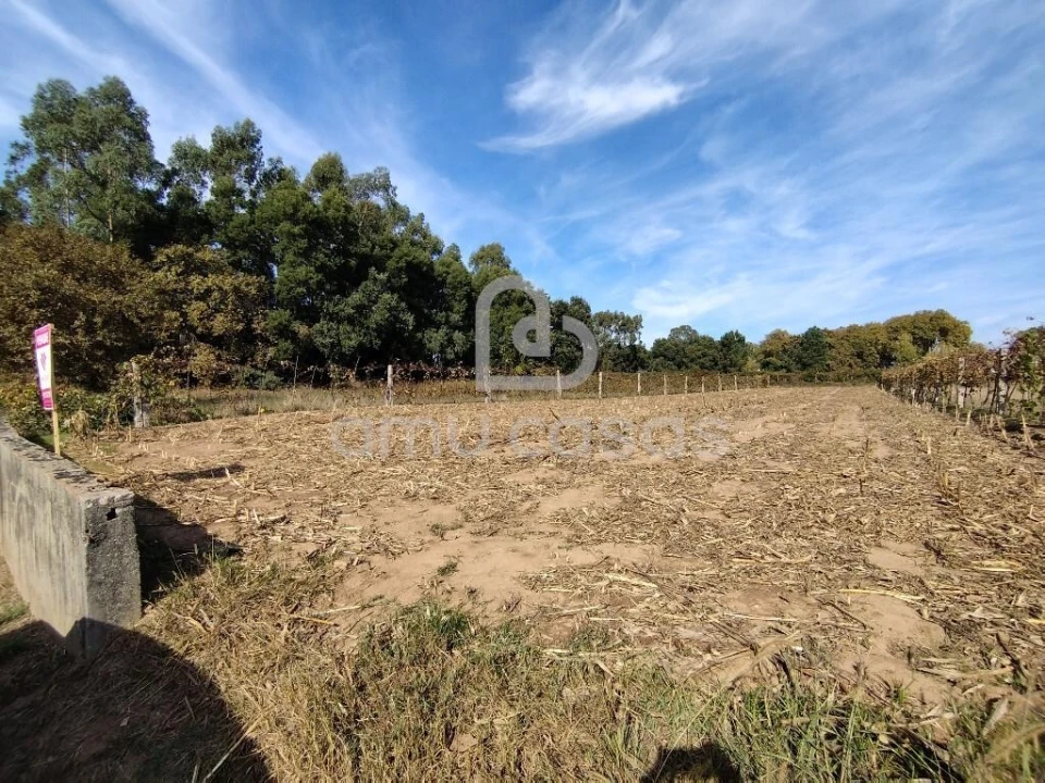 Terreno para Venda em Beduído e Veiros Foto 1