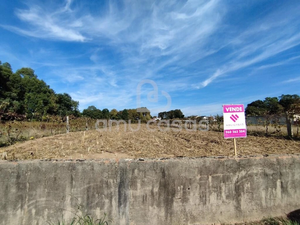 Terreno para Venda em Beduído e Veiros Foto 2