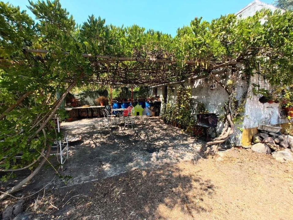 Quinta T2 para Venda em Foros de Vale de Figueira Foto 44