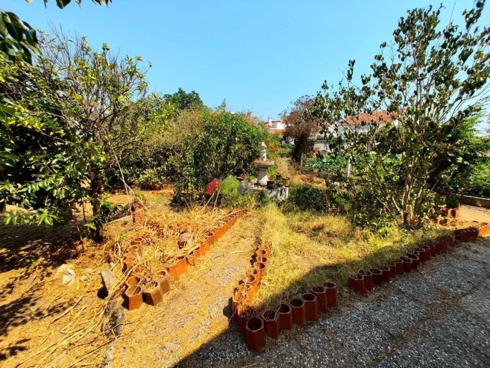 Quinta T2 para Venda em Foros de Vale de Figueira Foto 8