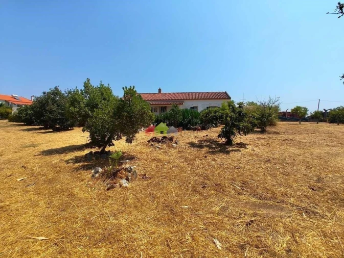 Quinta T2 para Venda em Foros de Vale de Figueira Foto 33