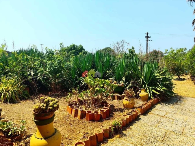 Quinta T2 para Venda em Foros de Vale de Figueira Foto 41