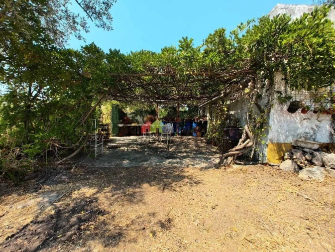 Quinta T2 para Venda em Foros de Vale de Figueira Foto 46