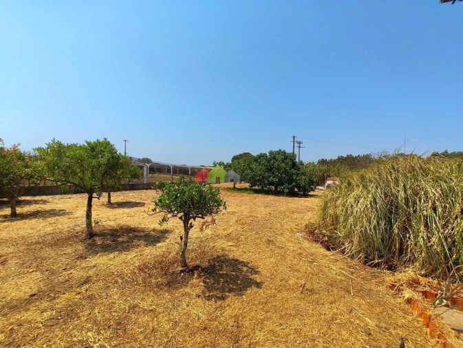 Quinta T2 para Venda em Foros de Vale de Figueira Foto 6