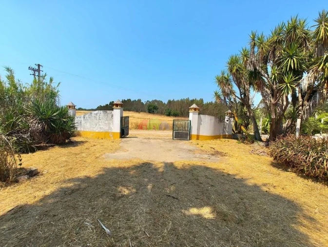 Quinta T2 para Venda em Foros de Vale de Figueira Foto 37