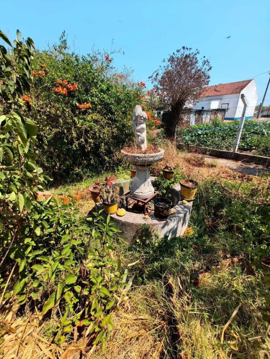 Quinta T2 para Venda em Foros de Vale de Figueira Foto 9