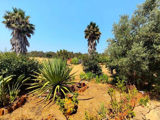 Quinta T2 para Venda em Foros de Vale de Figueira Foto 5