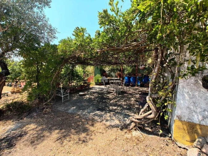 Quinta T2 para Venda em Foros de Vale de Figueira Foto 47