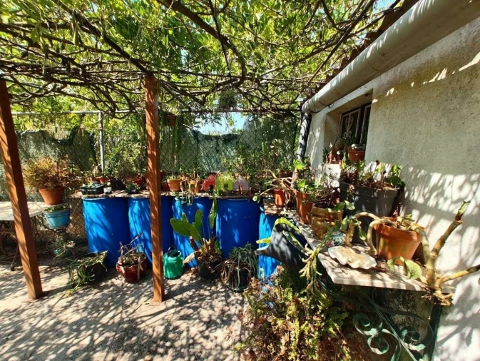 Quinta T2 para Venda em Foros de Vale de Figueira Foto 45