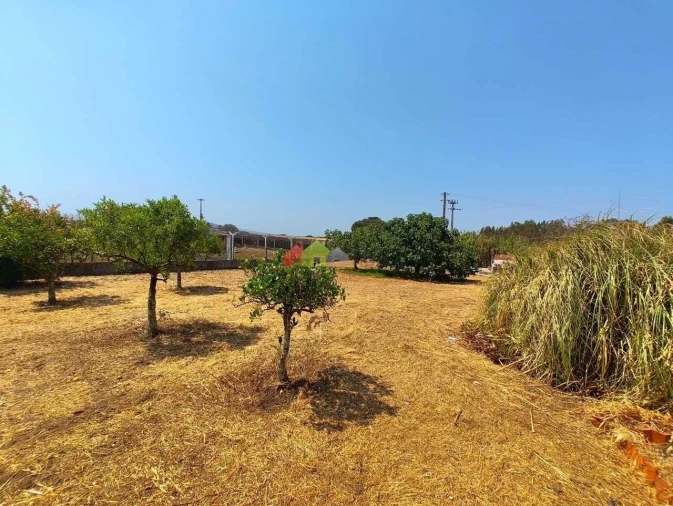 Quinta T2 para Venda em Foros de Vale de Figueira Foto 40