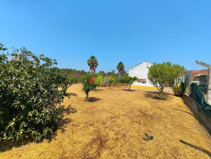 Quinta T2 para Venda em Foros de Vale de Figueira Foto 3