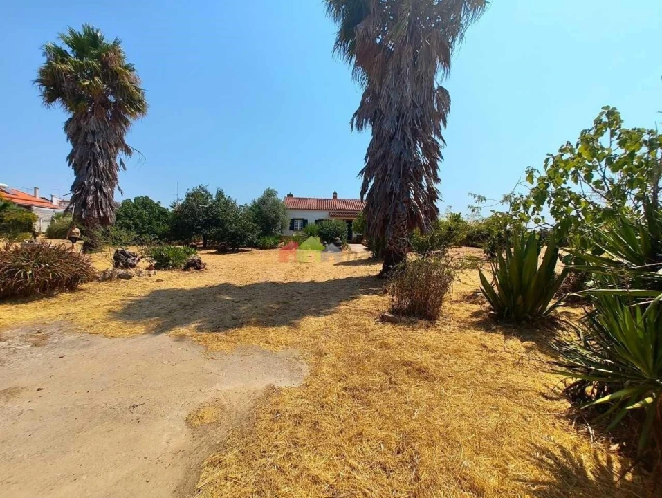 Quinta T2 para Venda em Foros de Vale de Figueira Foto 35