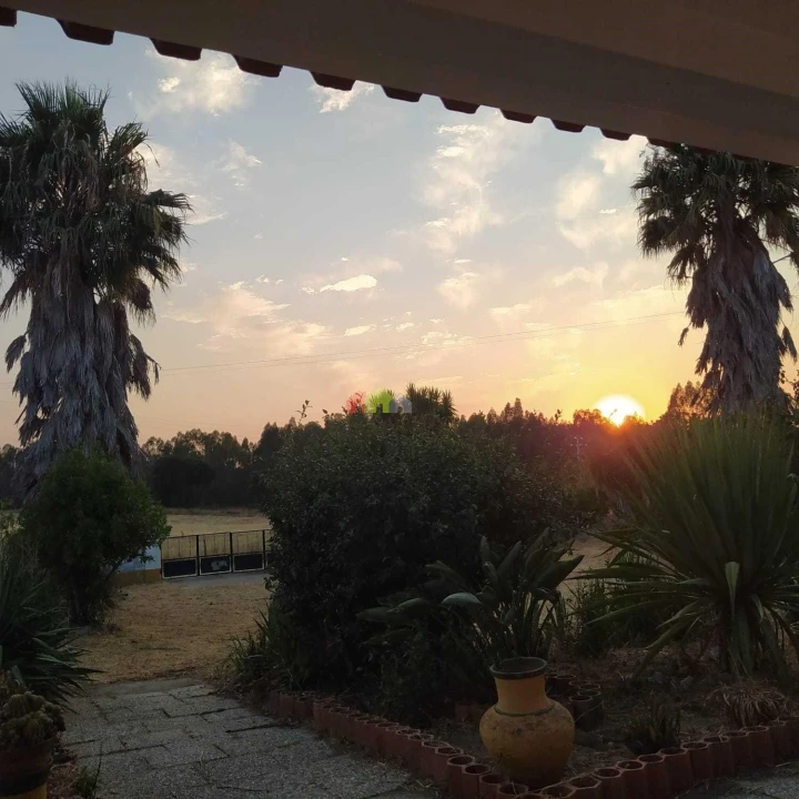 Quinta T2 para Venda em Foros de Vale de Figueira Foto 32