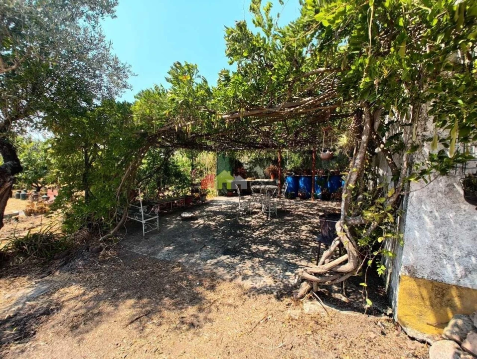 Quinta T2 para Venda em Foros de Vale de Figueira Foto 47