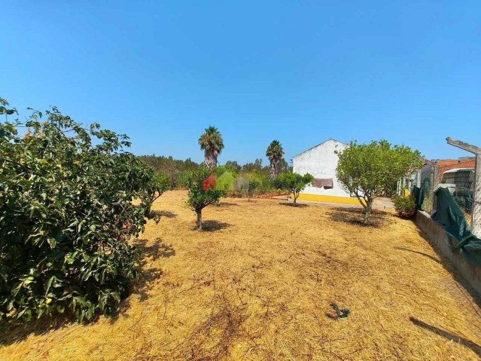 Quinta T2 para Venda em Foros de Vale de Figueira Foto 3