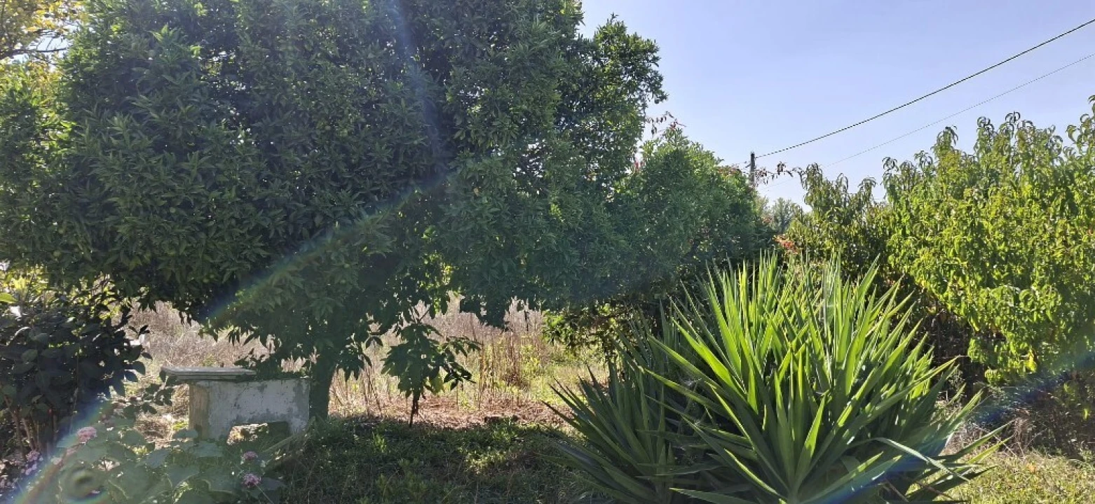 Moradia T2 para Venda em Lago Foto 21