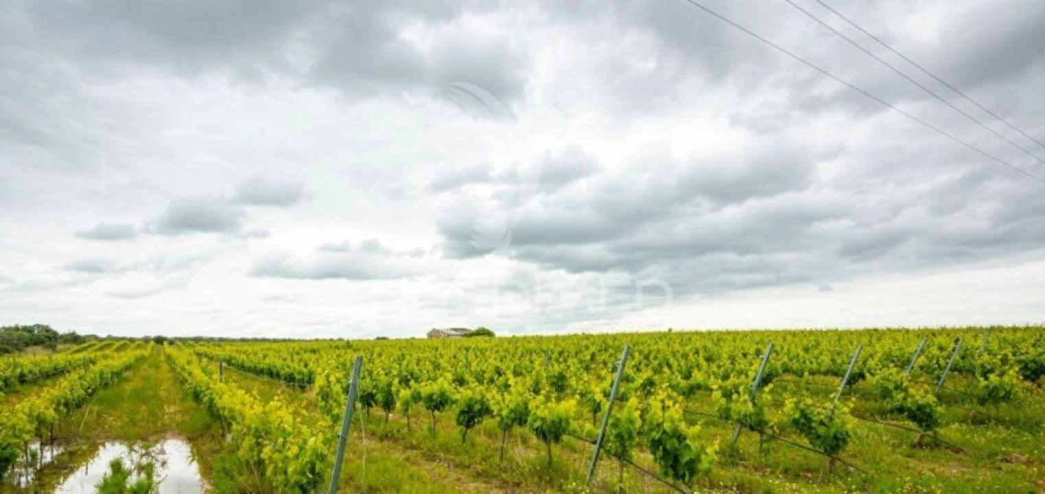 Terreno para Venda em Corval Foto 1